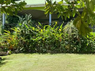 Aura Dominica - Roseau - 7