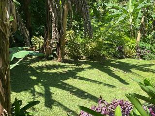 Aura Dominica - Roseau - 8