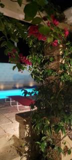 La Pigna Blu - Botrugno - 8