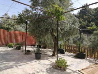 شقة مفروشة في عجلون - 2