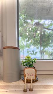 Apartman Minja 2 Trebinje - 9