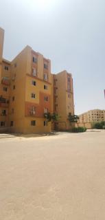 aladdin hotel Egypt Badr - 8