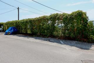 Apartments with parking space Dramalj, Crikvenica - 5592 - Dramalj - 1