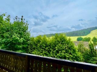 Am Sommerberg - Rafael Apartment - Greschuk Apartments - Feldberg - 6