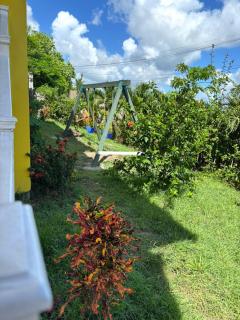 Desired View - Choiseul - 7