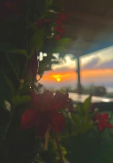 Dimora Acqua del Fico - 3