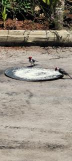 Casa Peninsula de Maraú - 6