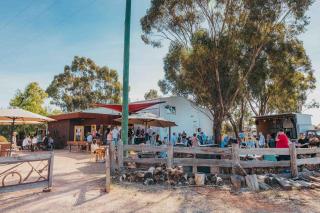 Vineyard Views at Shiraz Republic - 4