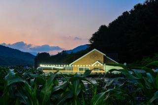 Shalom House Pension - 8