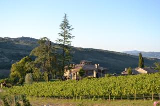 Agriturismo Tenuta Lapone - 5