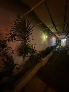 Ali baba 2 - Kairo - 6