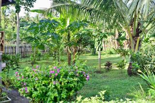 Hong Homestay - 8