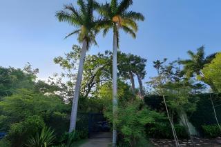 Recanto Harmonia, seu refúgio em Bonito MS - 7