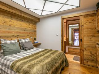 Appartement haut de gamme, au pied des pistes, avec WIFI - FR-1-694-432 - 2