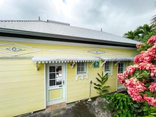 Maison créole confortable à Saint-Leu - FR-1-786-58 - Saint-Leu - 8