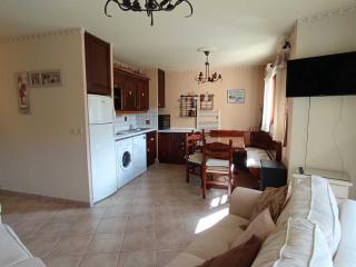 Appartement spacieux, vue pistes, animaux acceptés, parking - FR-1-445-226 - 8