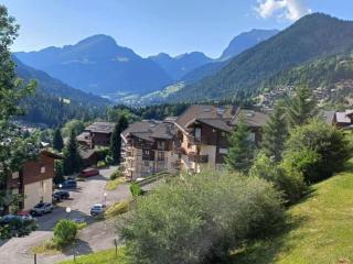 Studio Chaleureux pour 4 Pers., Balcon ensoleillé et Parking - FR-1-676-224 - 1