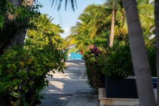 4BR Luxury Beach Villa w/ Premium Amenities - Playa del Carmen - 5