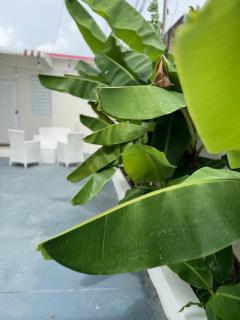 Cozy Stay in San Juan, Close to Everything - San Juan - 2