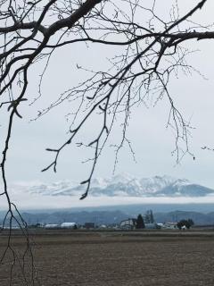 easelog 中富良野山居木屋 距離富良野滑雪场15分钟車程 - 3