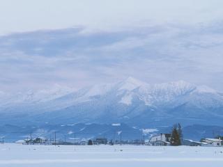 easelog 中富良野山居木屋 距離富良野滑雪场15分钟車程 - 6