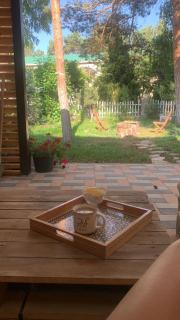 Raduga West Pineforest - коттедж в аренду на Иссык-Куле - Kosh-Kël' - 7
