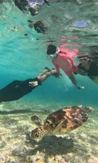 Gili Santai Homestay - 5