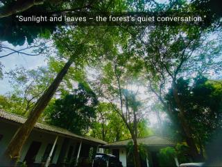 Zensigiri Wellness Homestay - Sigiriya - 1