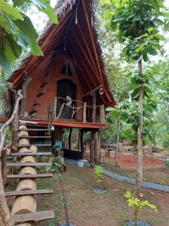 Sigiri Hunter's Eco Tree lodge - Sigiriya - 2