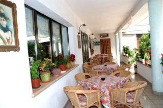 Hotel Criniera D'oro - Rimini - 9