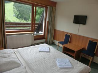 Parkhotel Harrachov - Harrachov - 7