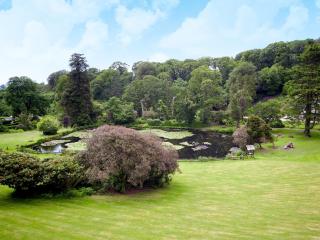 Lake View Cottage - Cv7102 - Saint Cleer - 2