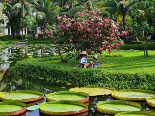 Sofitel Angkor Phokeethra Golf & Spa Resort - Siem Reap - 1