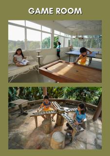 The Weekend Farmer - Alfonso - 9