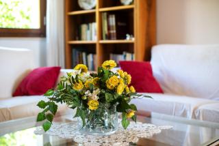 Appartamento Comfort alle Terme - 4