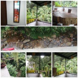 Summer shade villa - Kandy - 5