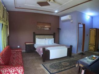 lake view hotel and resort - Khanpur - 9