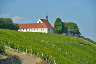 Vogelsburg - 1