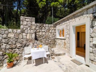 Apartments & Rooms Tapera- Comfort One-Bedroom Apartment with Terrace and Garden View - 0