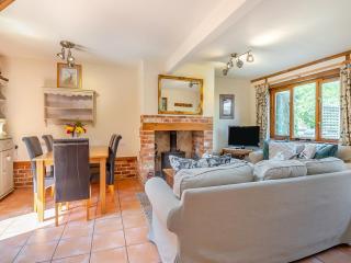Ash - Uk49524 - 6