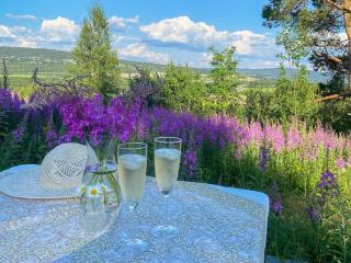 6 person holiday home in Røros - 2