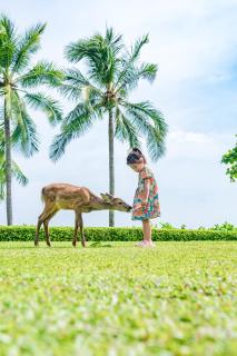 Horizon Resort & Spa Yalong Bay-Yalong Bay Central - 2