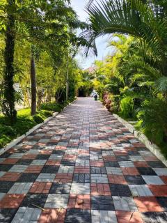 Dew Drops Resort Coorg - 3