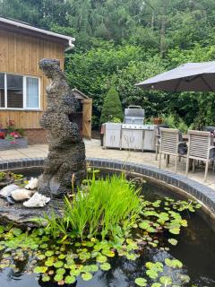 Spacious countryside lodge with hot tub - Horton - 5