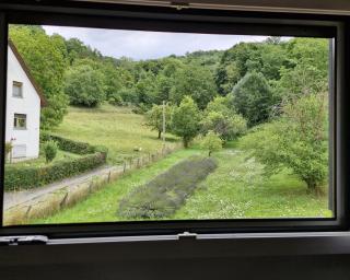 Ferienwohnung Sonnenschein - 9