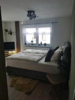 Moderne Ferienwohnung Am Flohbach 1 - Floh - 3