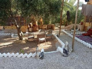 Siwa Gardenia Cottage اكواخ سيوة جاردينيا - Siwa - 5
