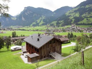 Grand Apartment in Mayrhofen with Infrared Sauna & Artistic Interiors - 5