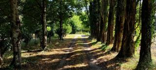 Chambre de La Lagune - 7