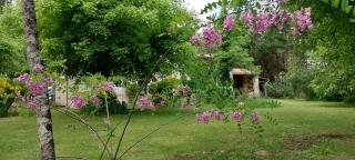 Chambre de La Lagune - 1